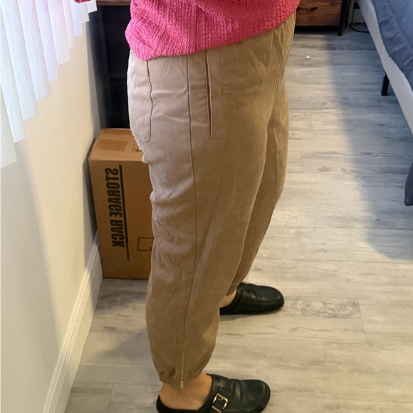 Zara Tan Jogger Pants - Picture 7 of 7